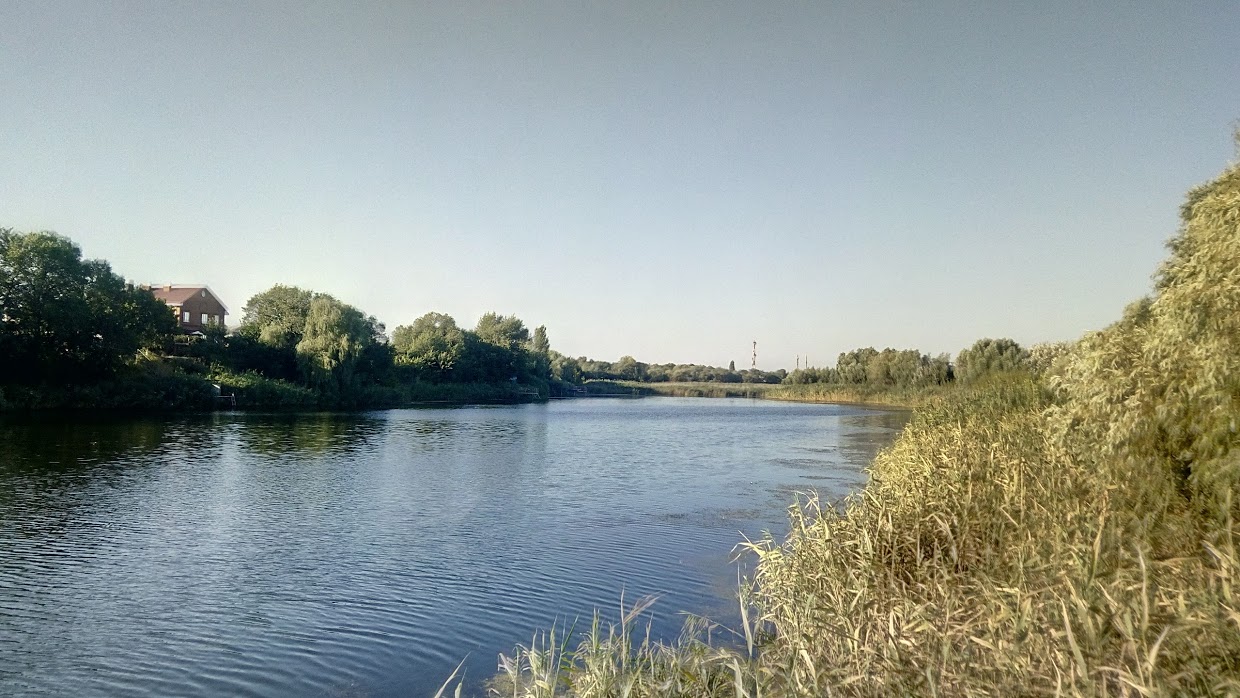 Интернет семикаракорск. Пруды семикаракорск. семикаракорск фото.